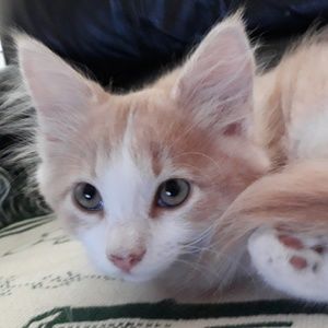 Meet your Posher, Julie